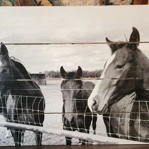 Black and White Horse Wall Art